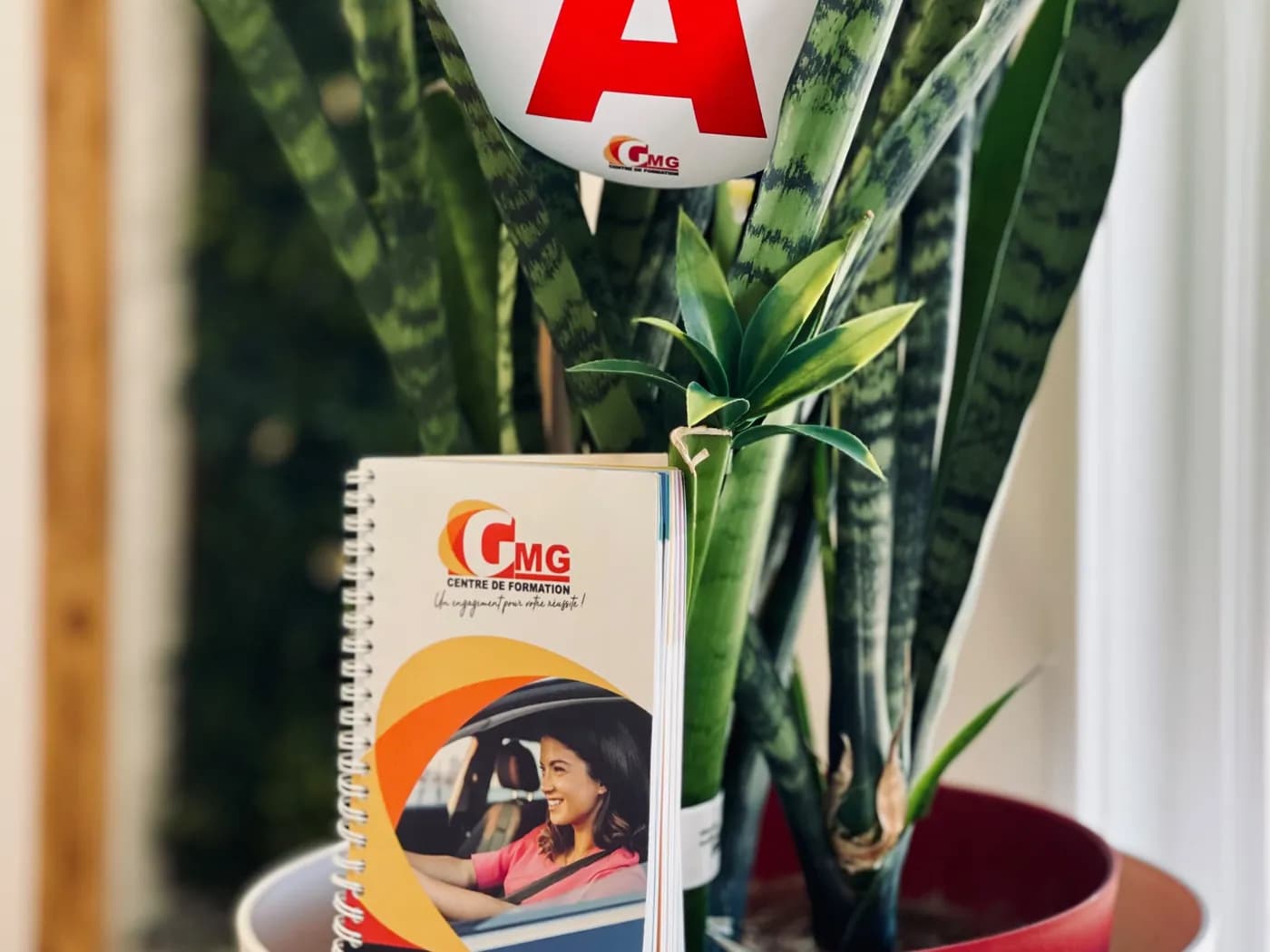 Livre de code GMG et disque « A » à l’accueil — Capesterre-Belle-Eau